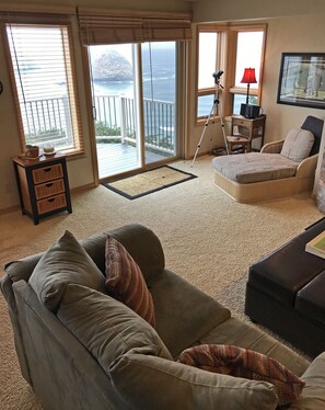 Fernseher, Kamin, DVD-Player, Bücher