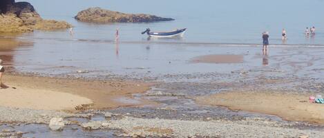 Pesca