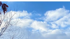Una persona a una banyera d'hidromassatge amb un paisatge nevado i arbres sense fulles al fons.