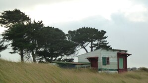 A small, rustic building with a green door and red window shutters, surrounded by tall trees and grass.