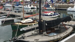 A marina with several boats docked, a wooden dock, and buildings in the background.