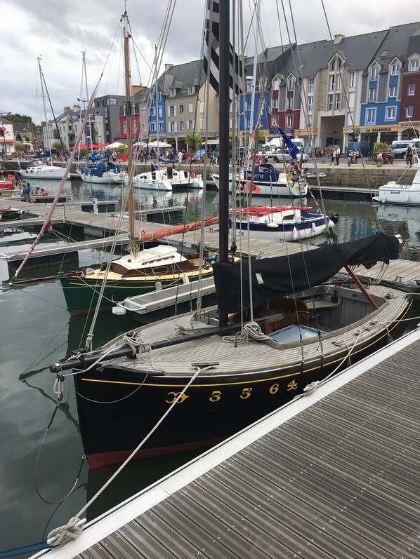 A marina with several boats docked, a wooden dock, and buildings in the background.
