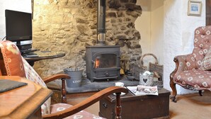 Un soggiorno accogliente con parete in pietra, stufa a legna, televisore e arredamento vintage.
