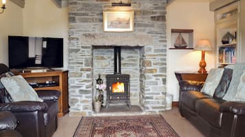 TV, fireplace