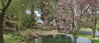 Alloggio con 2 camere da letto ad White Mill, near Carmarthen