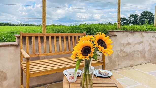 A wooden bench, a table with a vase of sunflowers, and a plate with food.
