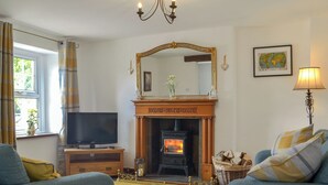 A living room with a fireplace, a television, and two sofas.