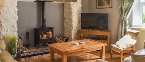 TV, fireplace
