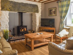 Fireplace - 4 bedroom accommodation in Rhyduchaf, near Bala (Rhyduchaf, near Bala)