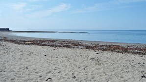 Une plage avec un rivage sablonneux et une mer calme.