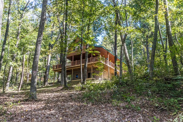 A wooden cabin surrounded by tall trees in a forest. - Hocking Hills - Foxfire Cabin  > hiking, game room, fire pit, full kitchen, Wifi (Logan)