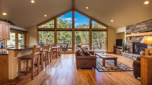 Smart TV, chimenea, reproductor de DVD y libros
