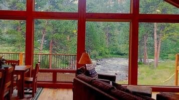 Smart TV, caminetto, lettore DVD, libri