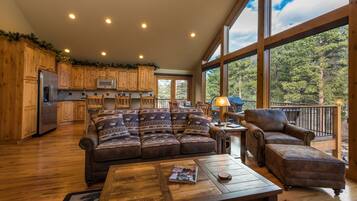 Smart TV, caminetto, lettore DVD, libri