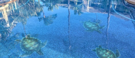 室外游泳池,恒温泳池