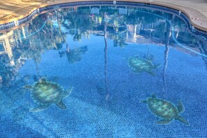 Outdoor pool, a heated pool