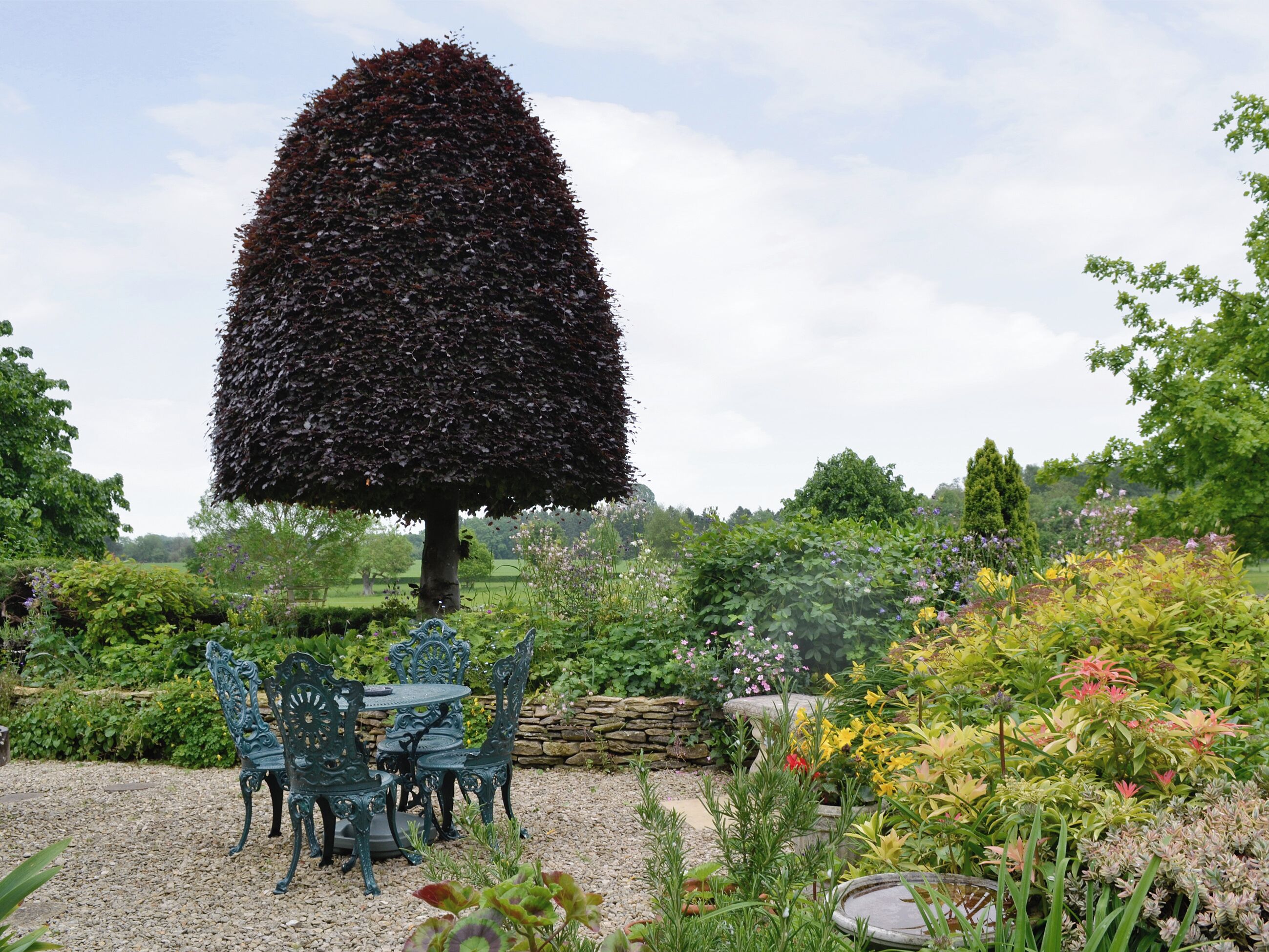 A garden with a unique tree, a stone wall, and a table with chairs.