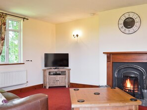 TV, fireplace - 5 bedroom accommodation in Newtown (Newtown)