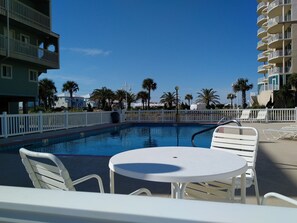 Relax by the serene pool surrounded by palm trees and lounge chairs.