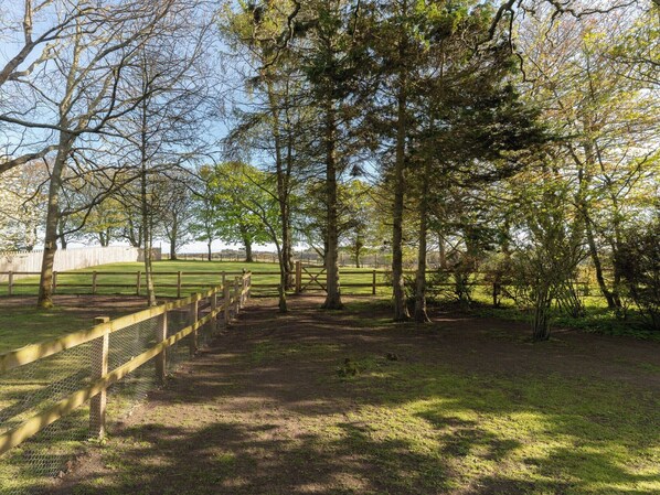 Property grounds - 3 bedroom accommodation in Tain (Tain)