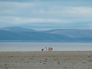 Fishing - 3 bedroom accommodation in Tain (Tain)