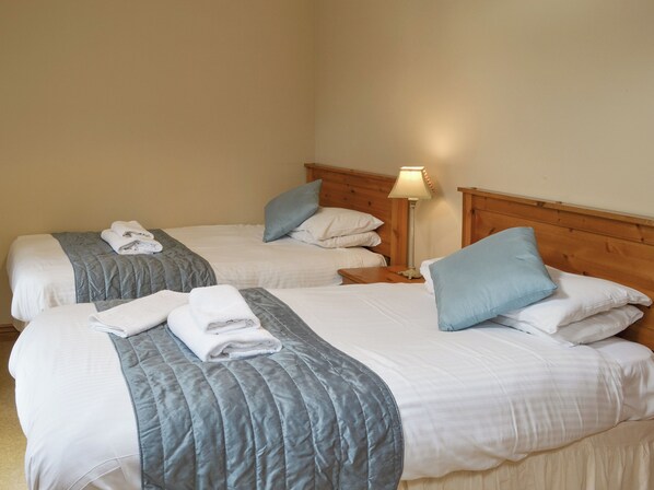 Two single beds with blue and white bedding, a bedside table with a lamp, and a wooden headboard.