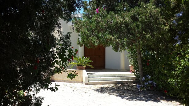 Un patio con una puerta de madera, escalones que conducen a un edificio y diversas plantas en macetas.
