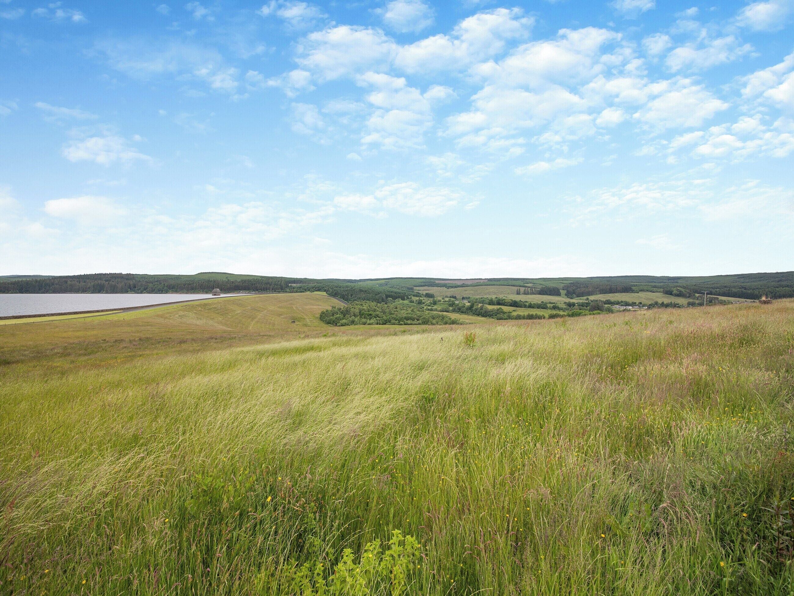 A grassy field with a lake and hills in the background.