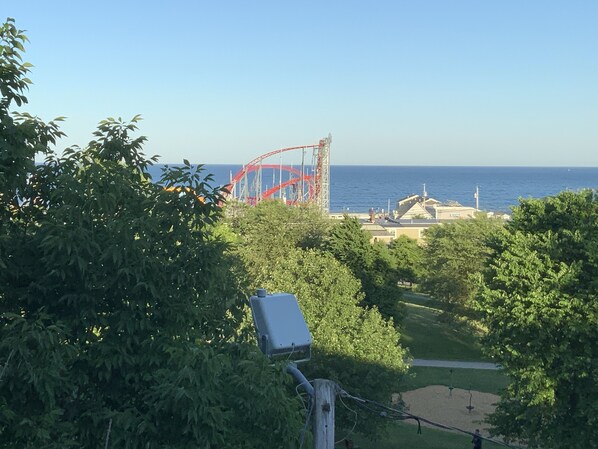 Un parque costero con una montaña rusa, árboles y vistas al mar.