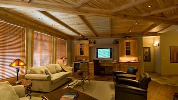 TV connectée, cheminée, lecteur de DVD, livres