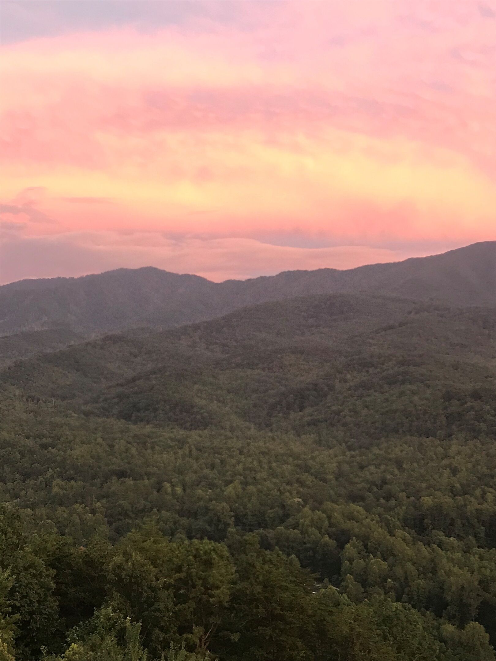 Un paysage boisé, avec des collines douces et un ciel dégagé.