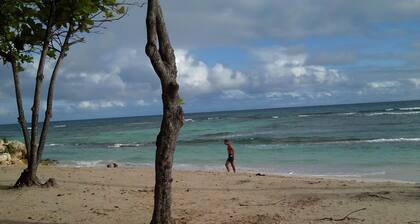 Maison avec trÚs grand jardin et piscine situé en bordure de mers