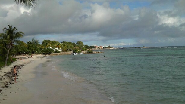 Una playa con agua cristalina, palmeras y una costa lejana con edificios.