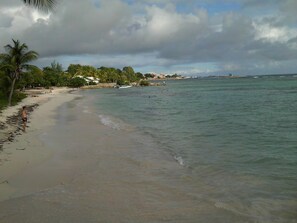 A beach with clear water, palm trees, and a distant shoreline with buildings.