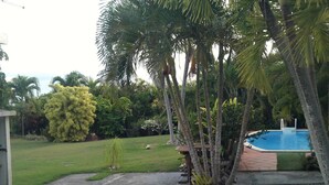 Una zona de piscina con solárium de hormigón, palmeras y césped.