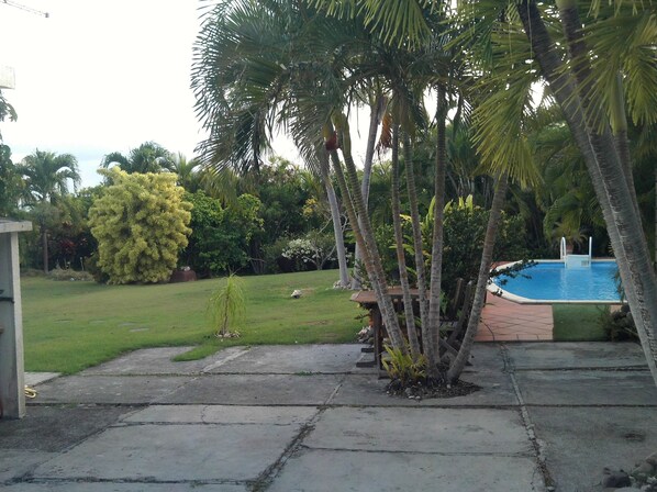 A pool area with a concrete deck, palm trees, and a grassy lawn.