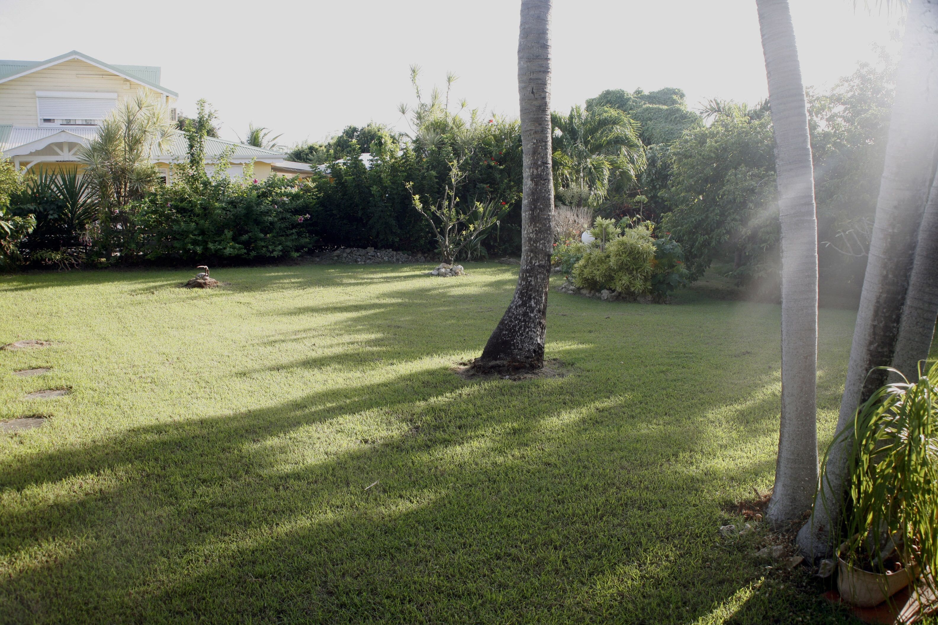 Parco della struttura