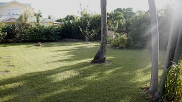 Jardines del alojamiento