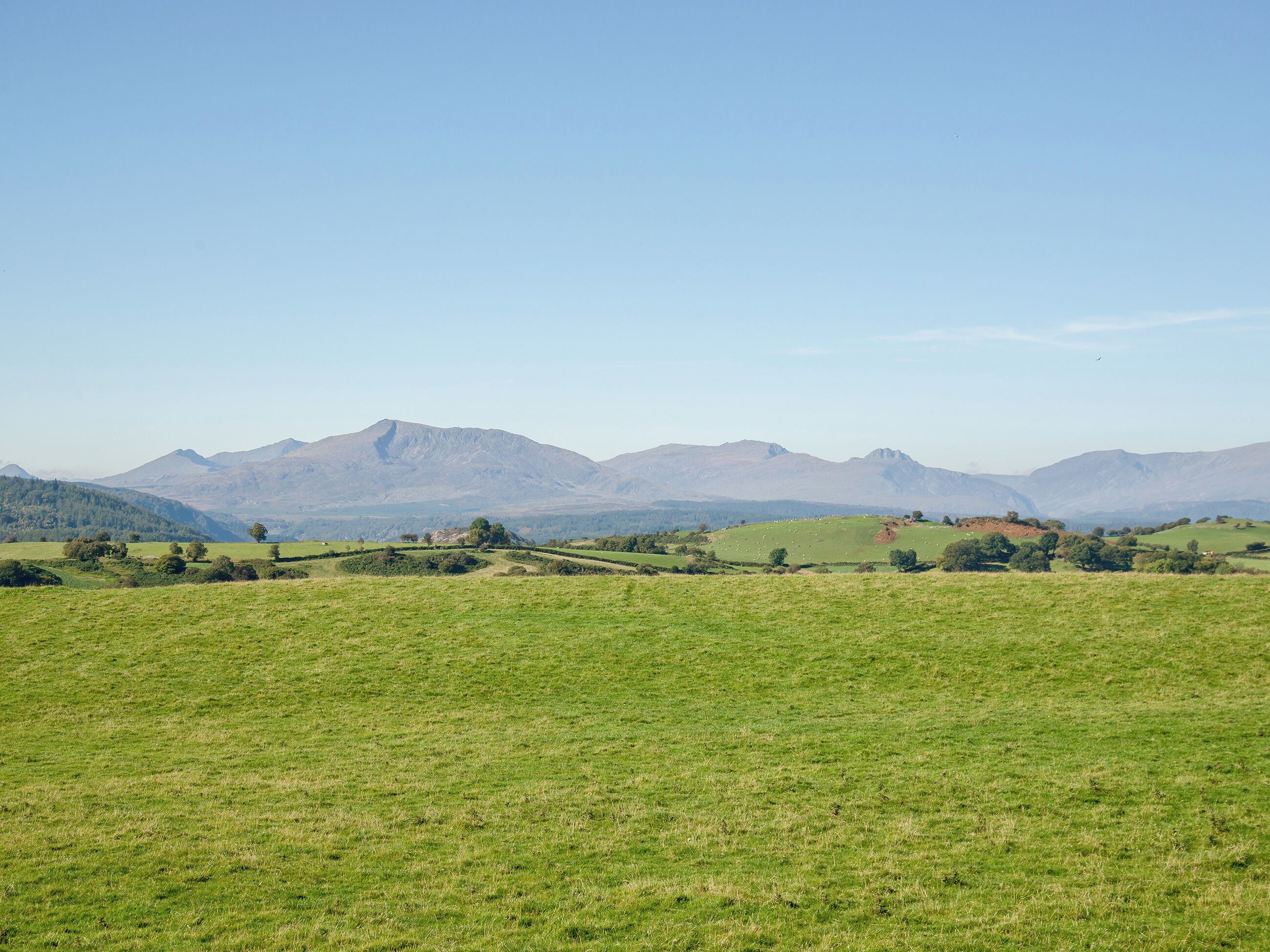 A wide, open field with distant mountains under a clear sky.
