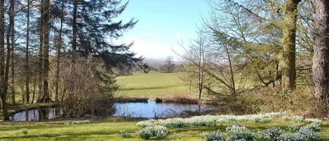 Overnatningsstedets område