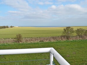 Ländliche Landschaft mit einem Feld, einem Zaun und einem Gebäude in der Ferne.