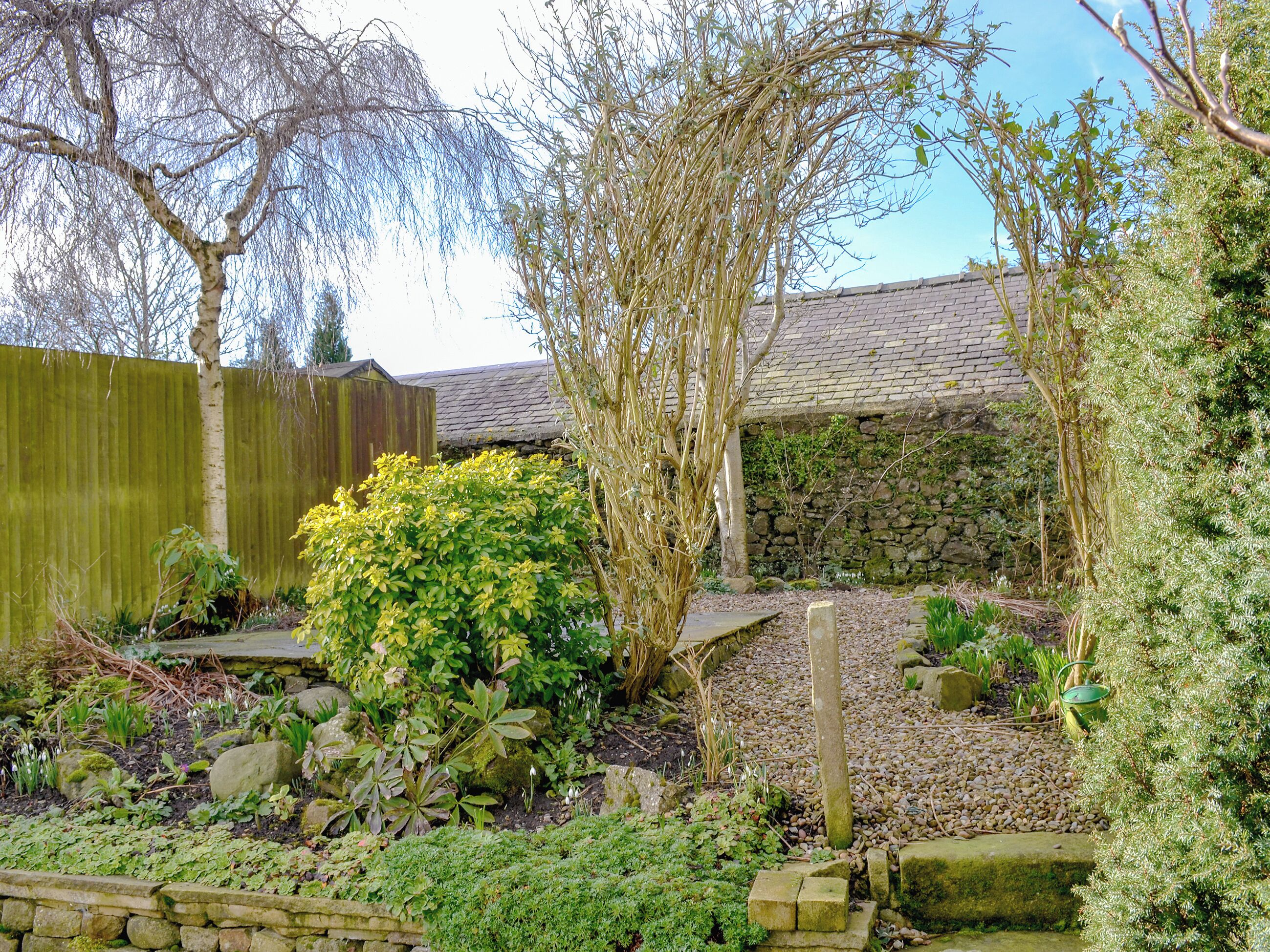 A garden with a stone wall, a wooden fence, and a variety of plants.