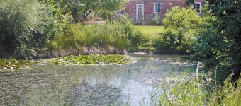 Mallard Cottage - E3751