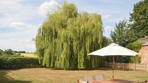 Un espace patio avec une table ronde en bois et des chaises, un parasol, et un saule pleureur en arrière-plan.