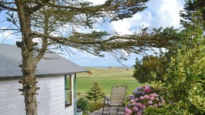 A white building with a window and a door, a chair, and a flower bed with pink flowers. - 2 bedroom accommodation in Llanfairynghornwy (Llanfairynghornwy)