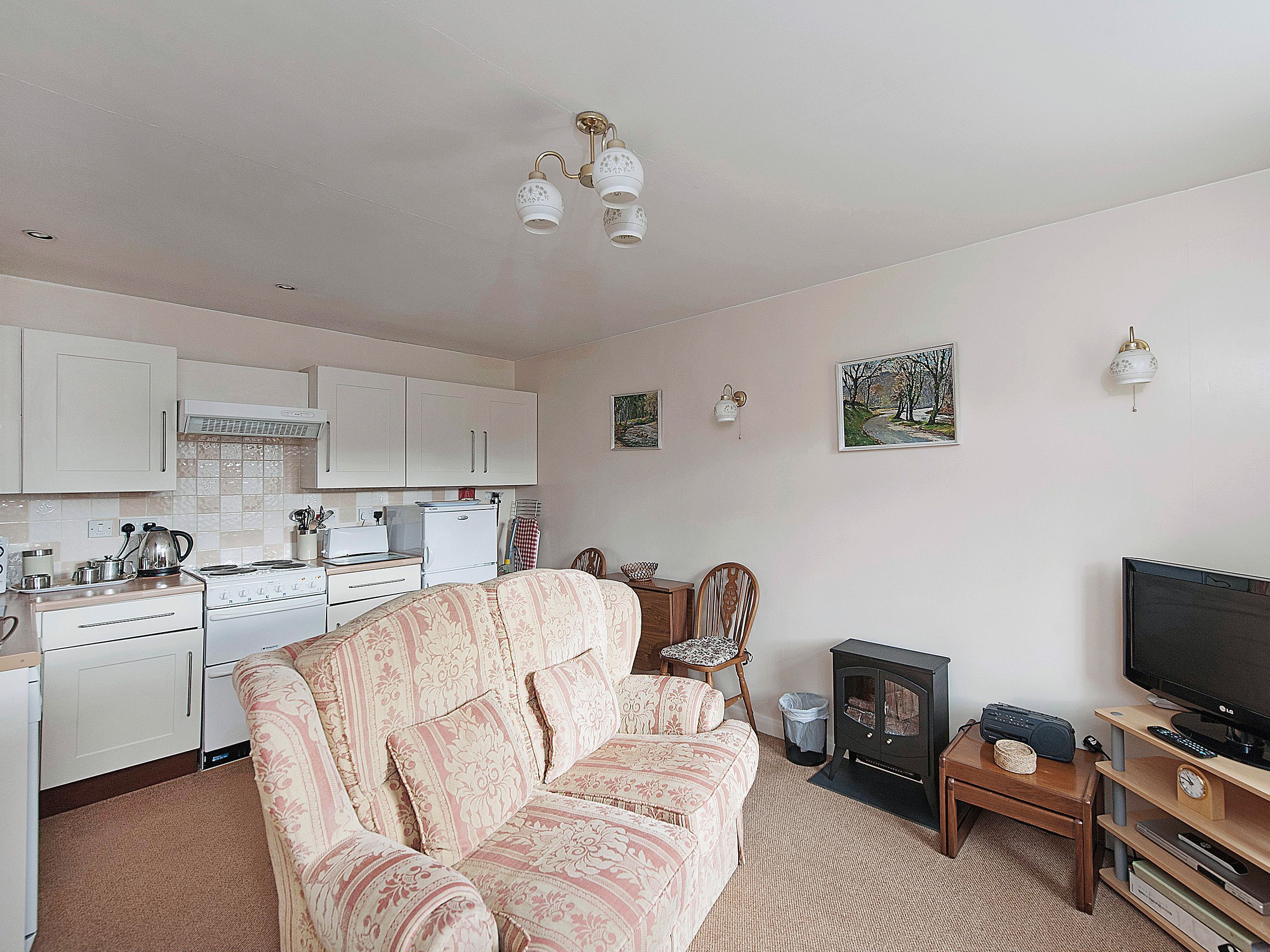 A living room with a sofa, a television, a fireplace, and a kitchen area with cabinets and appliances.