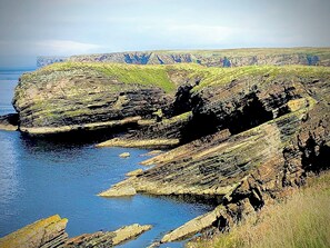 Uklassifisert bilde, 4 av 47, knapp