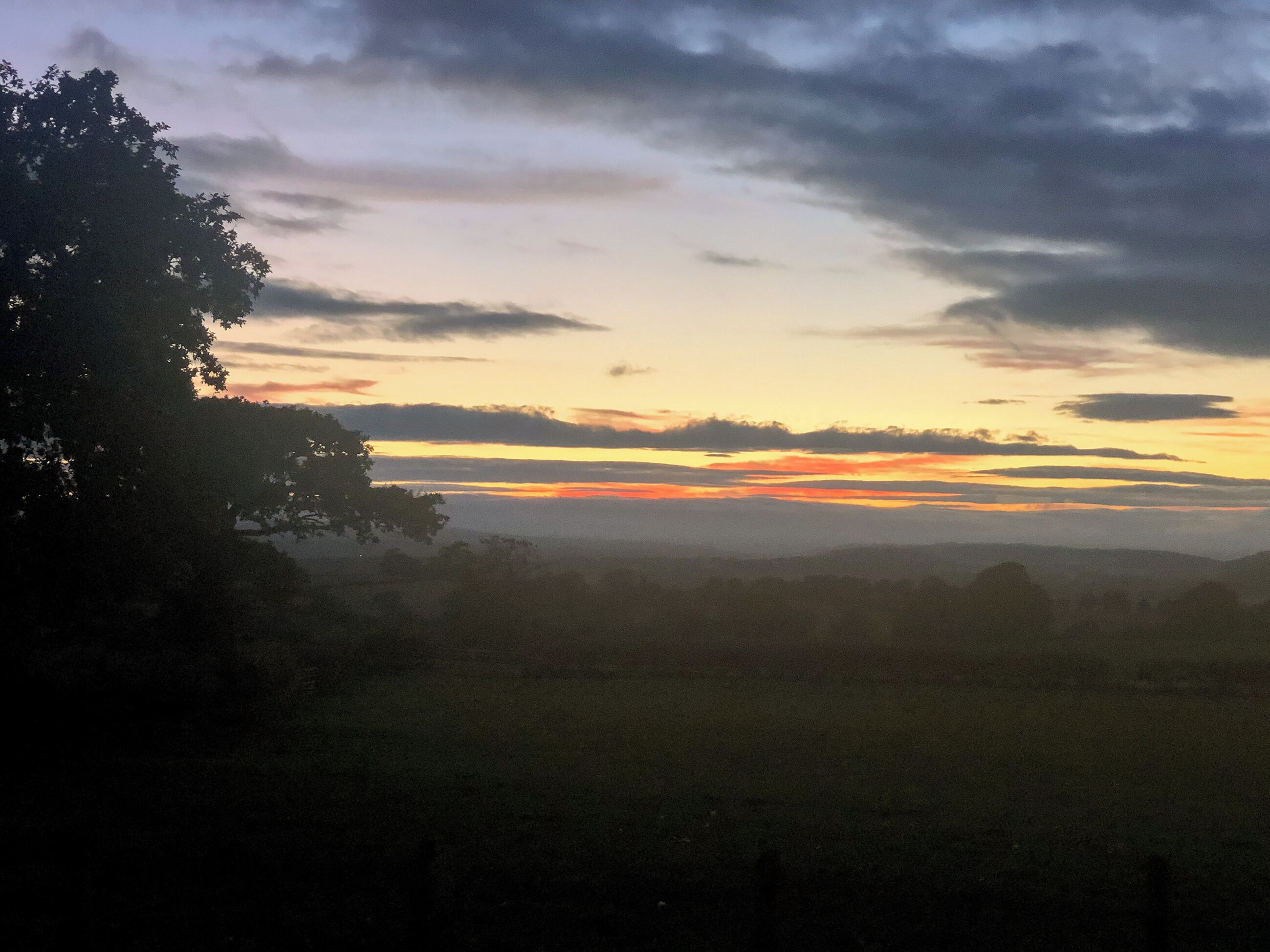 A sunset over a hilly landscape with a tree on the left.