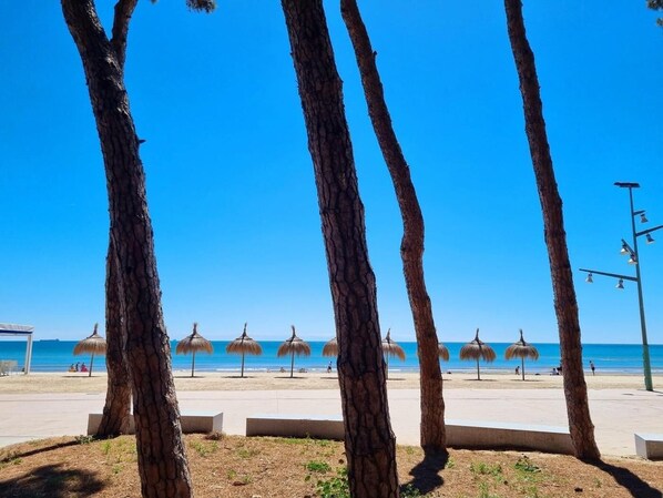 Une plage bordée d’arbres, avec des parasols, et un ciel bleu dégagé.