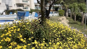 A tree with yellow flowers in front of a building with balconies and a pool. - APARTBEACH VANCOUVER RELAX CLIMATIZED AND PARKING (SALOU)